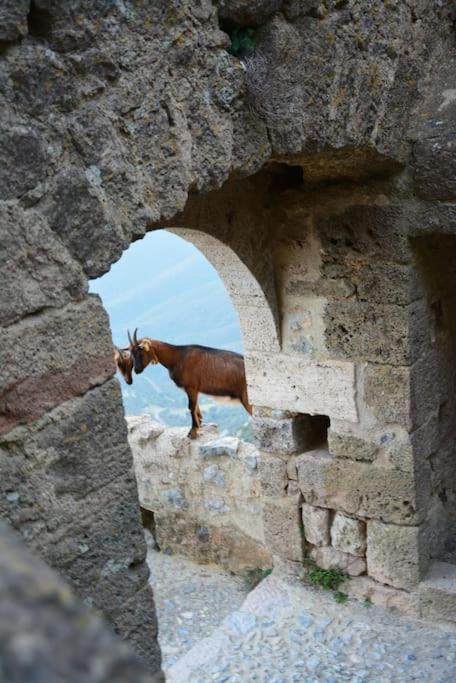 Villa Vilata A Padern Dans Les Corbieres Sauvages Buitenkant foto